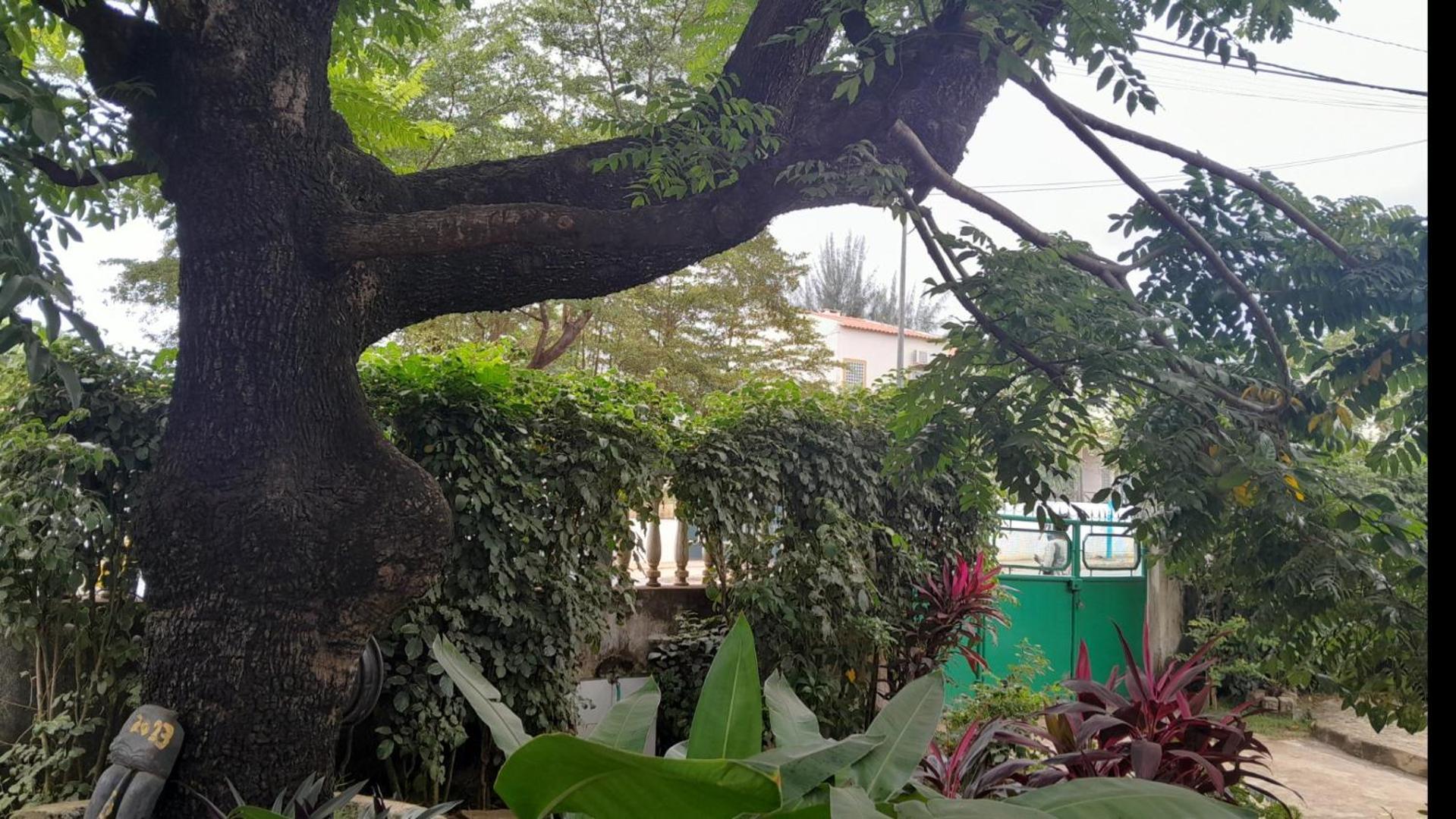 Ferienwohnung Casa De Ferias Sao Tome Exterior foto